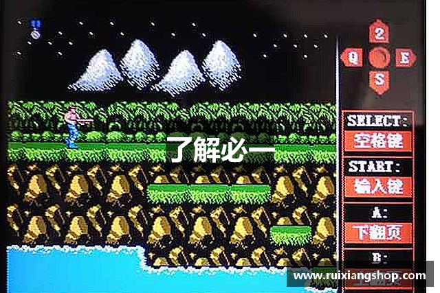 了解必一